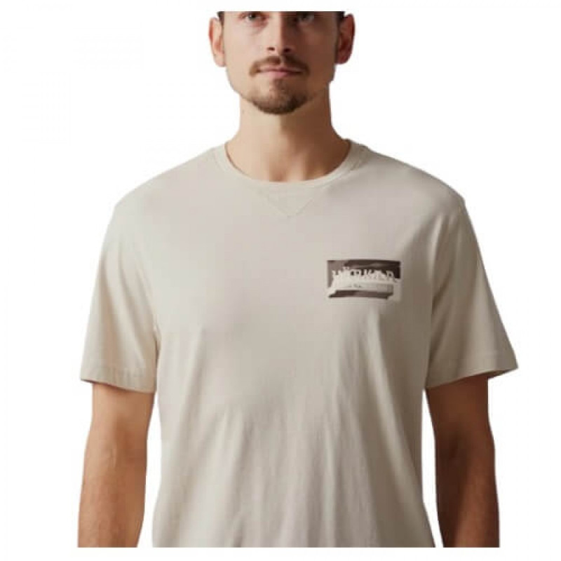 T-shirt HARKILA Core (Peyote grey)