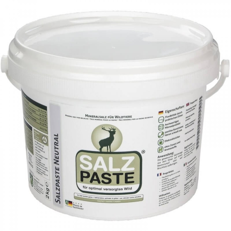 Salt SALZ PASTE Neutral Flavor Paste (2KG)
