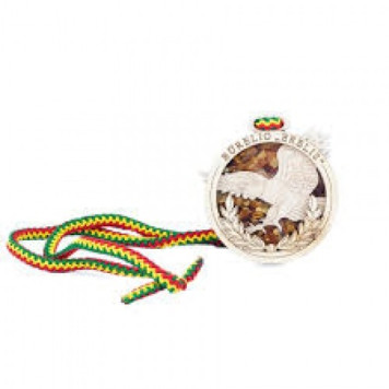 Medal with amber