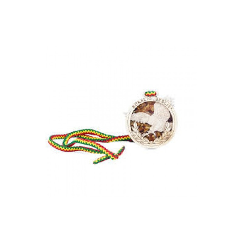 Medal with amber