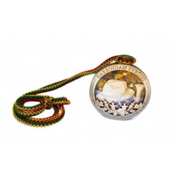 Medal with amber
