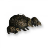 Pin Hedgehog family 81