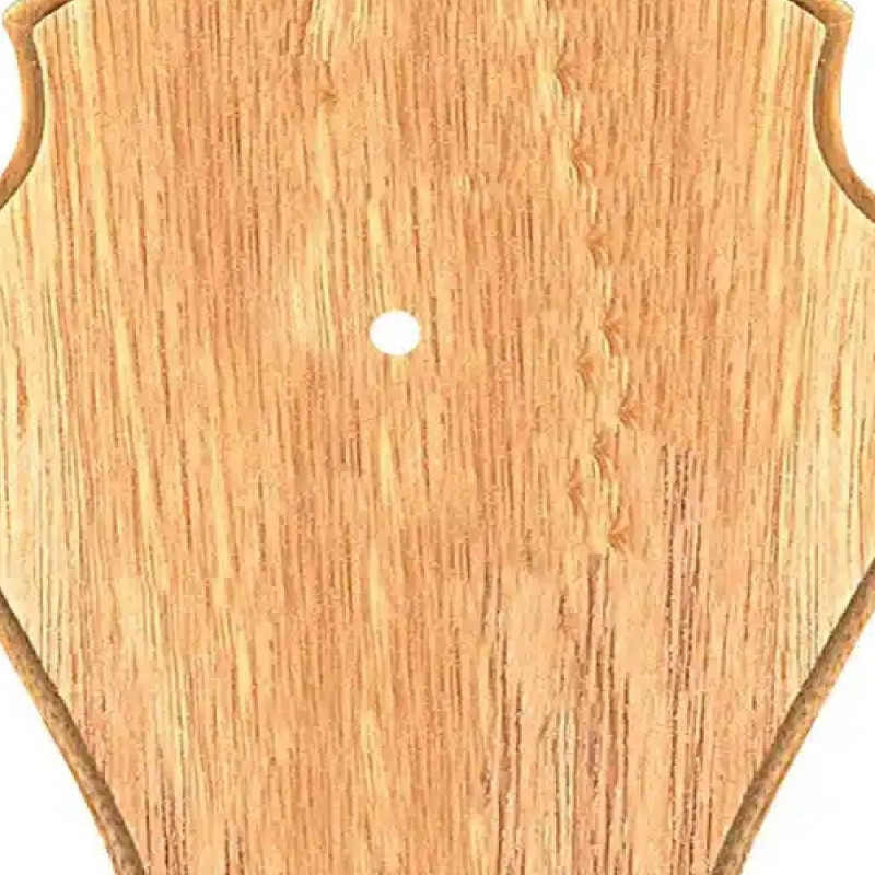 Dekoratyvinė medinė trofėjaus lenta Frankonia, šviesi (14201)