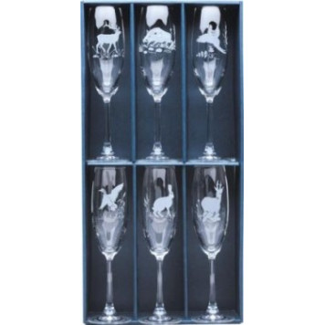 Champagne Glass Set (6 pcs.)