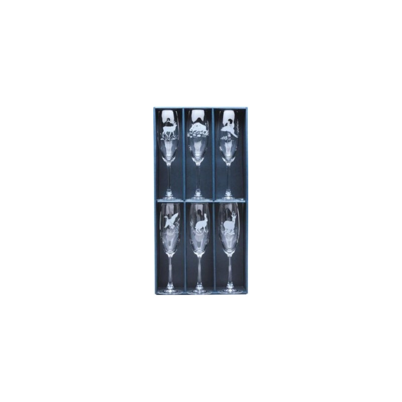 Champagne Glass Set (6 pcs.)