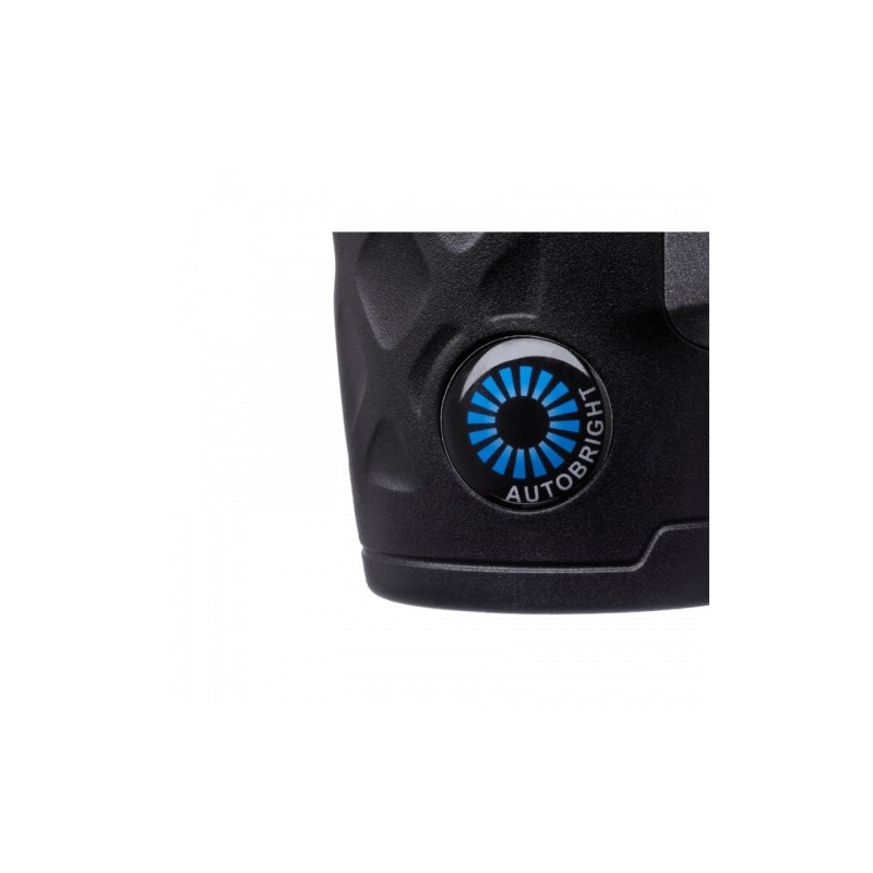 Binoculars Steiner BluHorizons 10x42 23450900