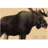 Target "Elk" 150x100 cm