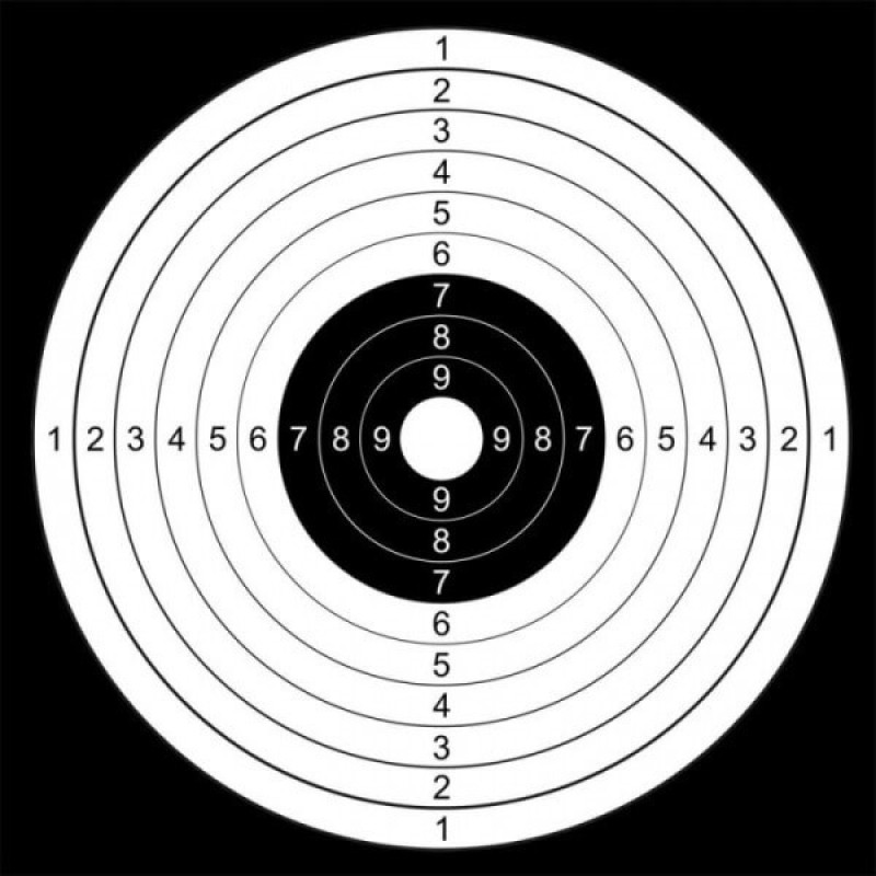 Paper target BORNER Black/White 14x14 cm 1pcs (H1405) 