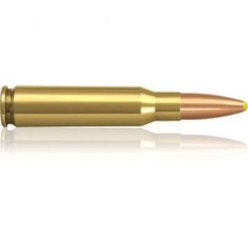 Šoviniai Norma 308 Win Plastic Point  11.7 g.