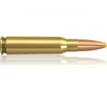 Šoviniai Norma 308 Win Plastic Point  11.7 g.