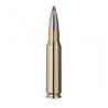 Šoviniai RWS kal. 308 Win. Evolution Green 9.0g./139gr 2408644