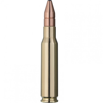Šoviniai RWS kal. 308 Win. 10,7g/165gr DK DoppelKern