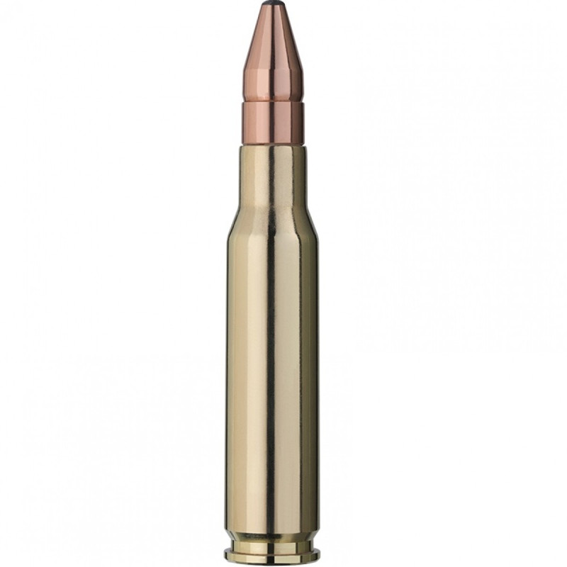 Šoviniai RWS kal. 308 Win. 10,7g/165gr DK DoppelKern