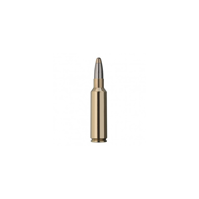 Šoviniai RWS kal. 300 WSM Evolution 11.9g./184gr 2315741