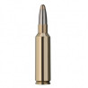 Šoviniai RWS kal. 300 WSM Evolution 11.9g./184gr 2315741