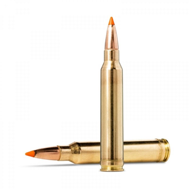 Šoviniai Norma kal. 300 Win Mag Tipstrike 11g./170gr 20174362