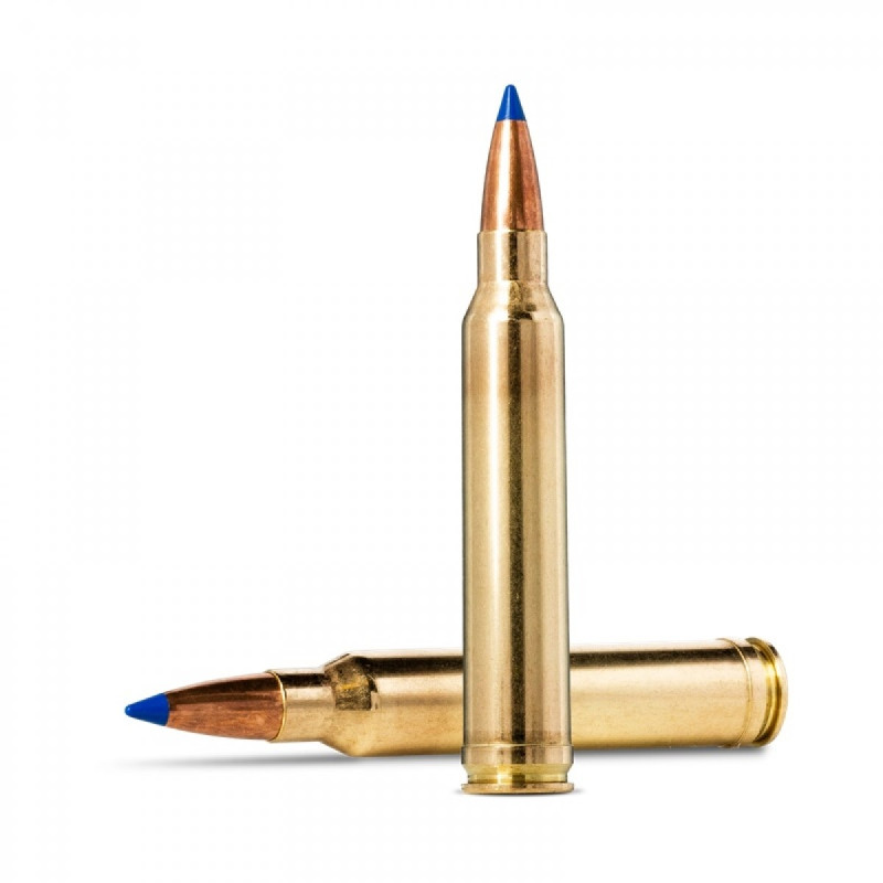 Šoviniai Norma kal. 300 Win Mag Bondstrike 11,7 g. 20176332