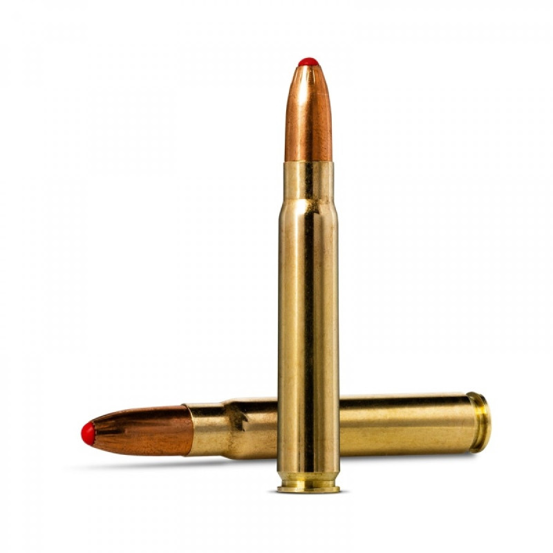 Šoviniai Norma kal. 9.3x62 18.5g PP 20193142