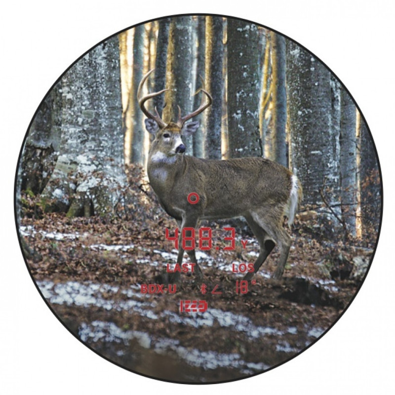 Žiūronai SIG SAUER KILO6K 8x32 SOK6K804