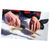 Peilis Outdoor Edge FISH & BONE FB-1