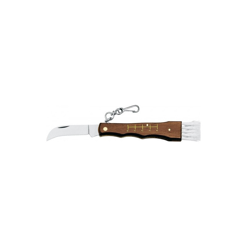 Sulenkiamas grybautojų peilis FOX 405 MUSHROOM KNIFE