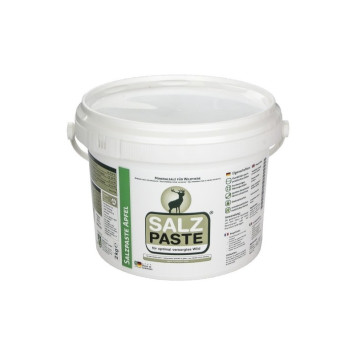 Salt SALZ PASTE Apple Flavor Paste (2KG)