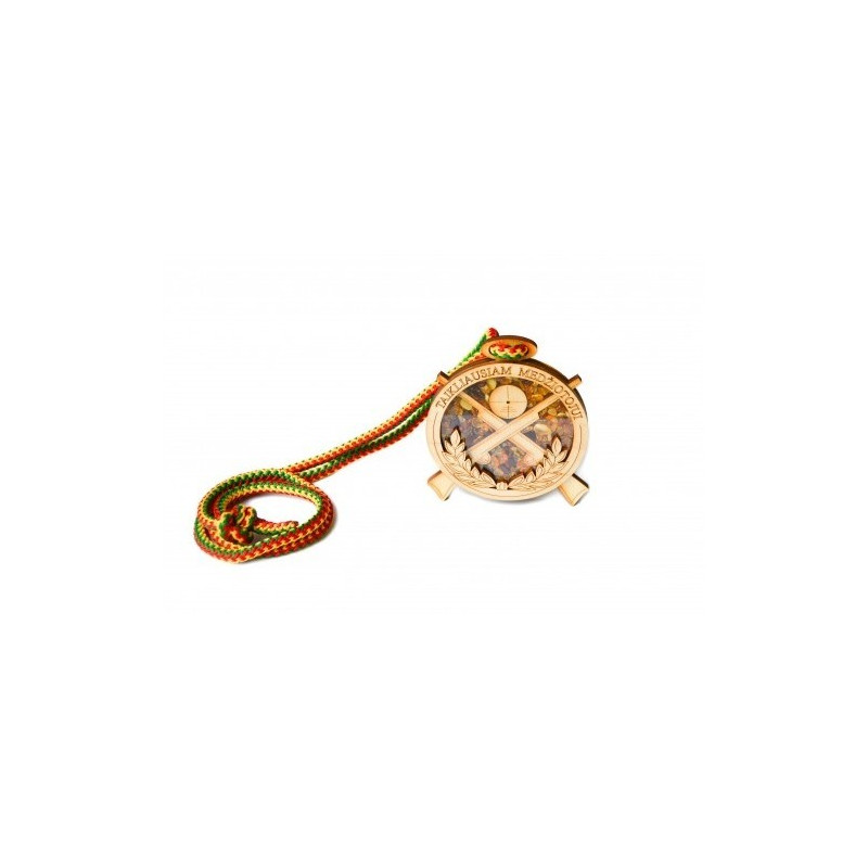 Medal with amber
