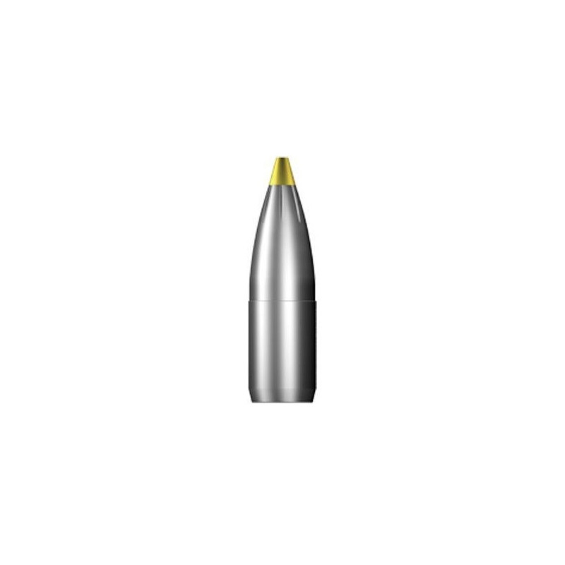 Šoviniai RWS kal. 300 Win. Mag. Evolution 9.0g./139gr 2408643