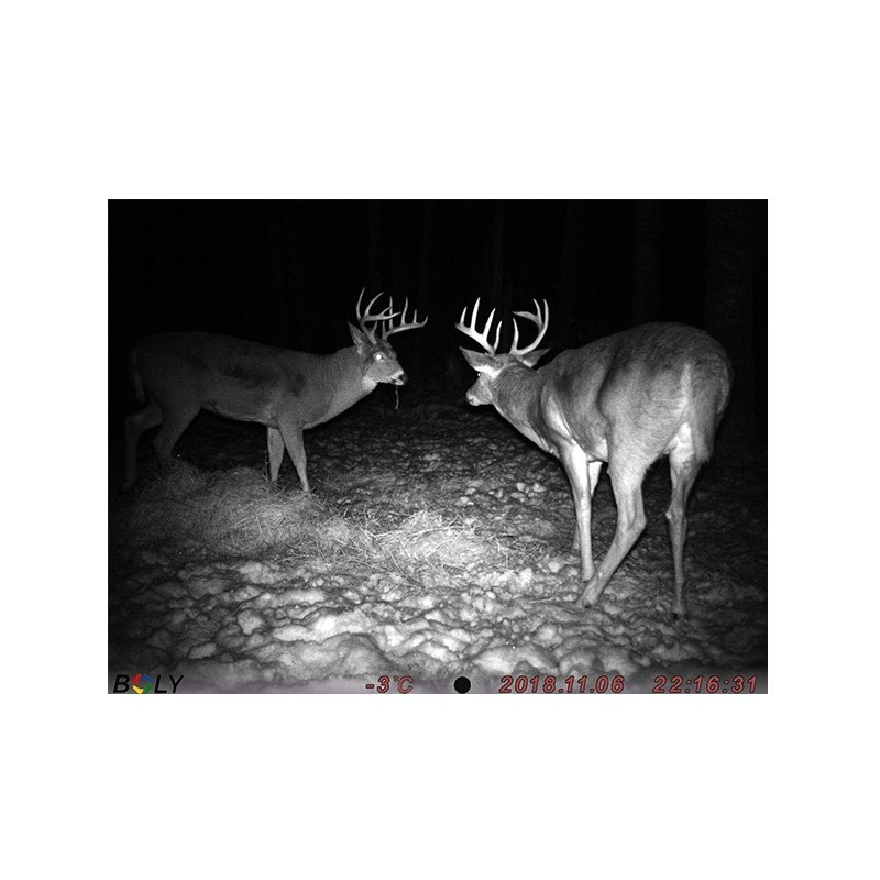 BolyMedia BG636 4G Trail camera with GPS