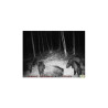 BolyMedia BG636 4G Trail camera with GPS