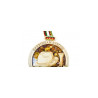 Medal with amber