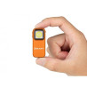 Flashlight Olight Oclip 300Lm (orange)