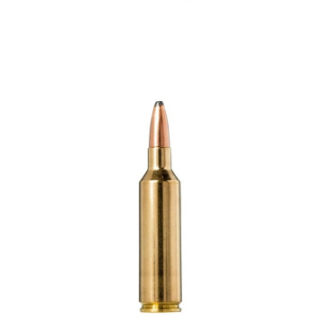 Šoviniai NORMA kal. 270 WSM 10,1g/156gr Vulkan 20169352