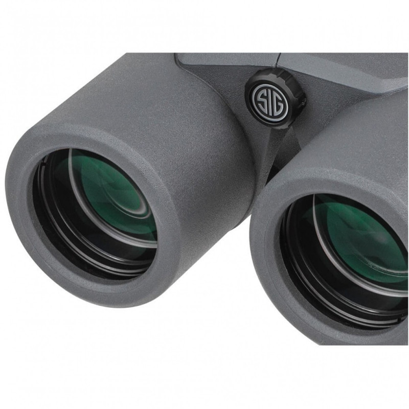 Žiūronai Sig Sauer Canyon 10x42mm, red oled (graphite)