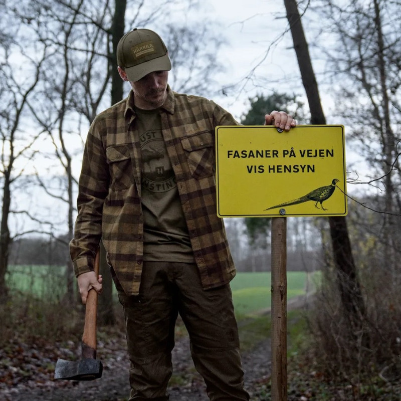 Shirt HARKILA Asmund L/S (Beech green check)