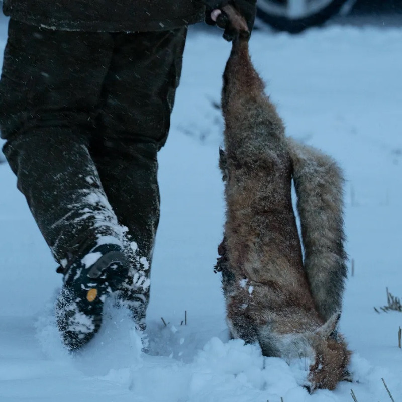 Trousers HARKILA Kodiak CleverWool HSP Insulated (Dark hunting green/Shadow brown)