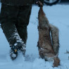 Trousers HARKILA Kodiak CleverWool HSP Insulated (Dark hunting green/Shadow brown)